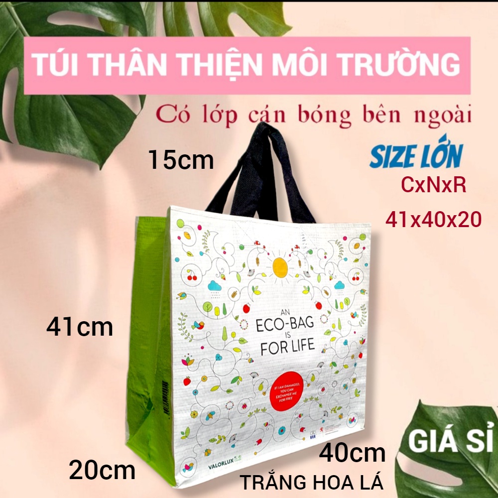 CÁN BÓNG - TÚI SIÊU THỊ, THÂN THIỆN MÔI TRƯỜNG, ECO SHOPPING BAG, ĐI CHỢ, ĐỰNG ĐỒ NẶNG, SIZE LỚN, HAI QUAI XÁCH