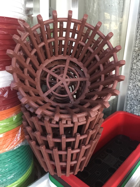 Bộ 10 chậu giả gỗ trồng lan phi 22cm
