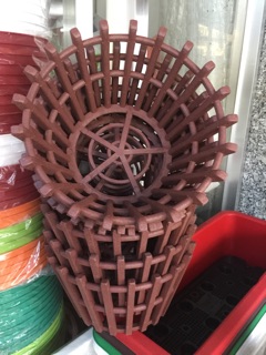 Bộ 5 chậu giả gỗ trồng lan phi 20cm và phi 23cm