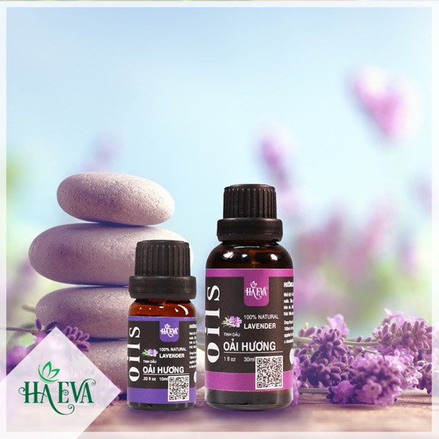 Tinh dầu Oải Hương - Lavender Haeva 10ml 30ml