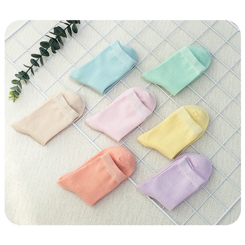 Đôi tất chân cotton mềm mại màu trơn dễ thương cho nữ