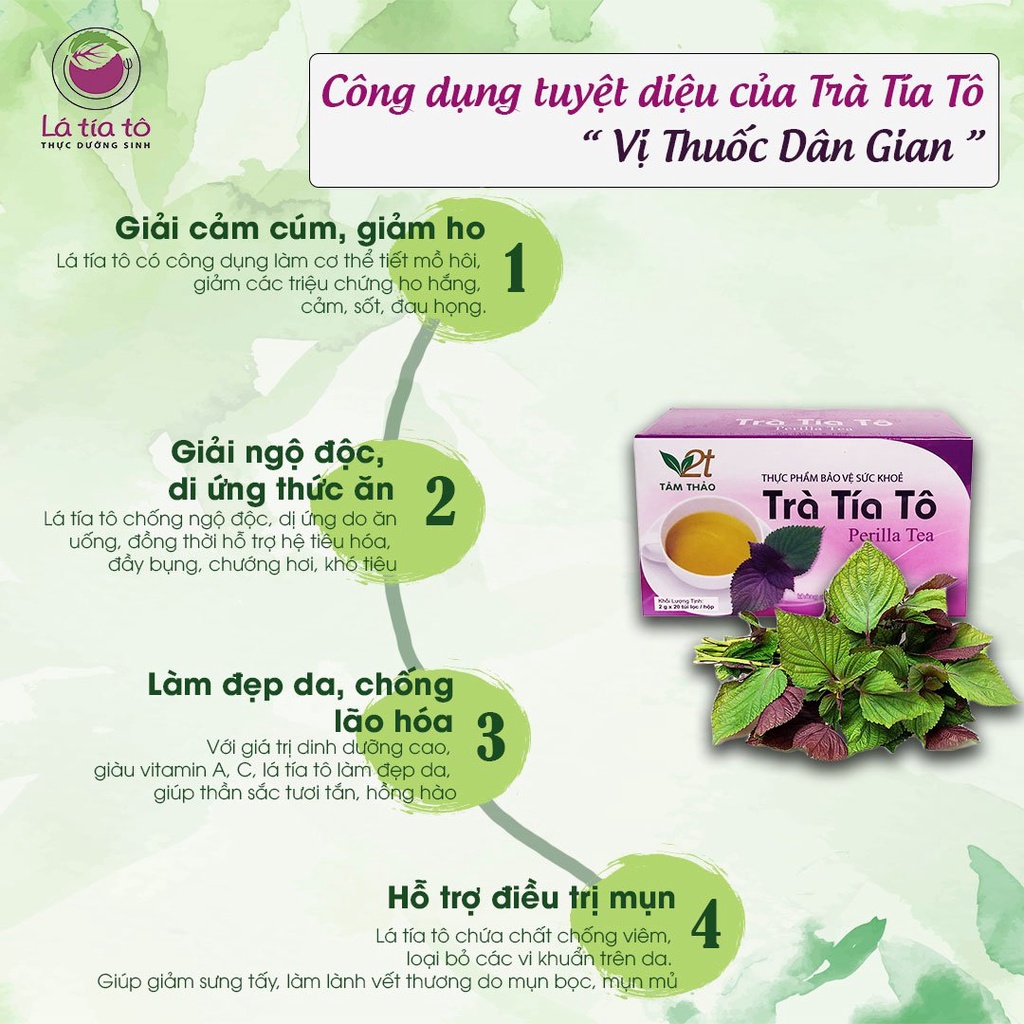 TRÀ TÍA TÔ TÚI LỌC GIẢI CẢM GIẢM HO - LÁ TÍA TÔ