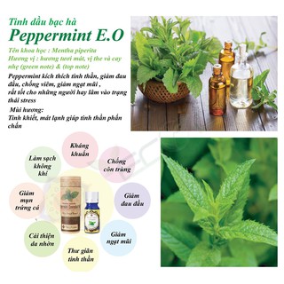 Tinh dầu bạc hà ECOLIFE – Peppermint Essential Oil