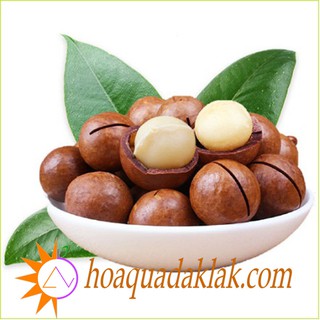 Hạt mắcca DakLak 500gr