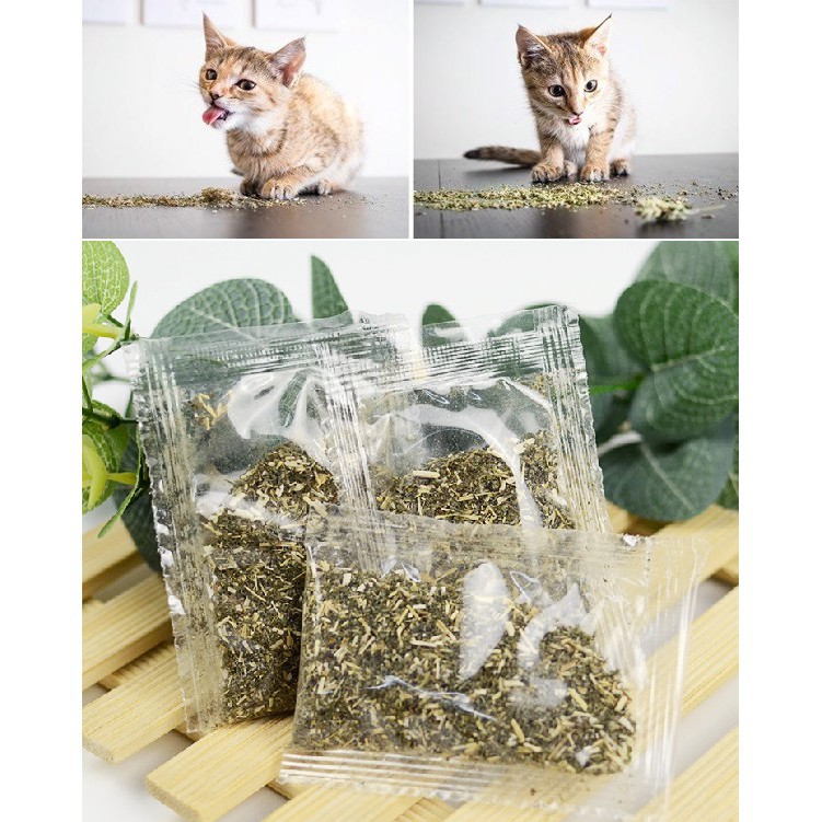 Hanpet.GV- (gói 2gr) Cỏ mèo ngửi Catnip cỏ bạc hà cho mèo ngửi để phê