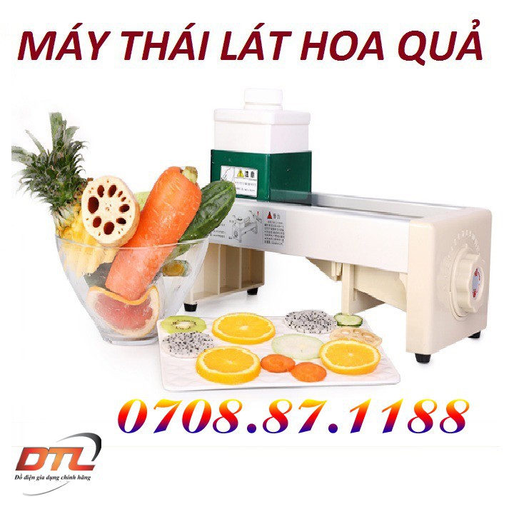 Máy thái lát Hoa quả