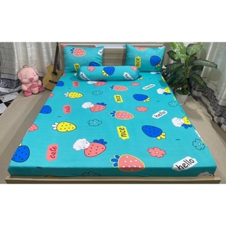 Ga thun hàn quốc mẫu dâu ( 6 màu)