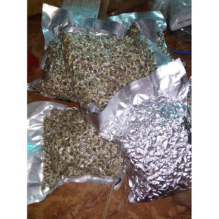 1kg hạt chùm ngây