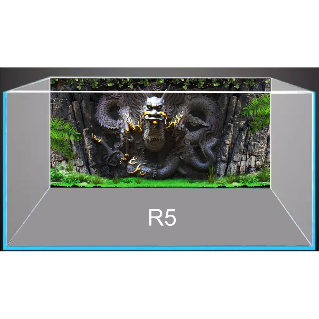Tranh 3D dán bể cá mẫu rồng R5