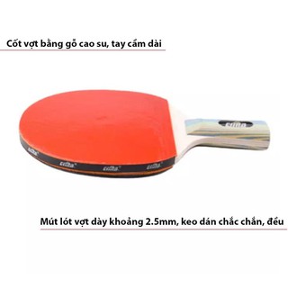 VỢT BÓNG BÀN CA8