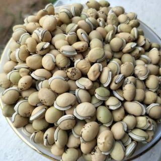 Đậu ván nguyên hạt 500gr