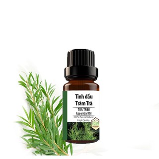 Tinh dầu Tràm Trà Úc I tự nhiên nguyên chất | Tea Tree Essential Oil