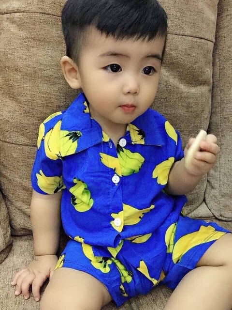 Bộ lanh lụa hoa quả -3d