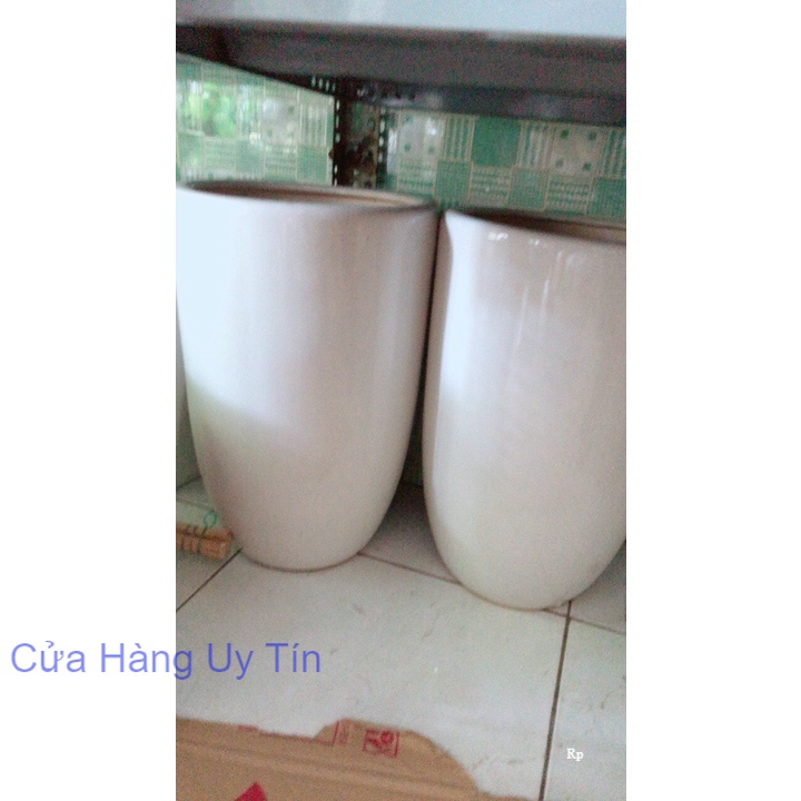 Chậu Trồng Cây Lớn