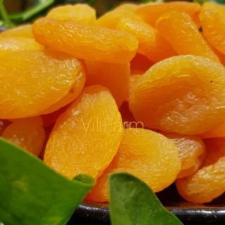 Mơ thổ nhĩ kỳ sấy lạnh