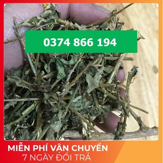 Cà gai leo khô - Chuyên gia bệnh gan 1000gram