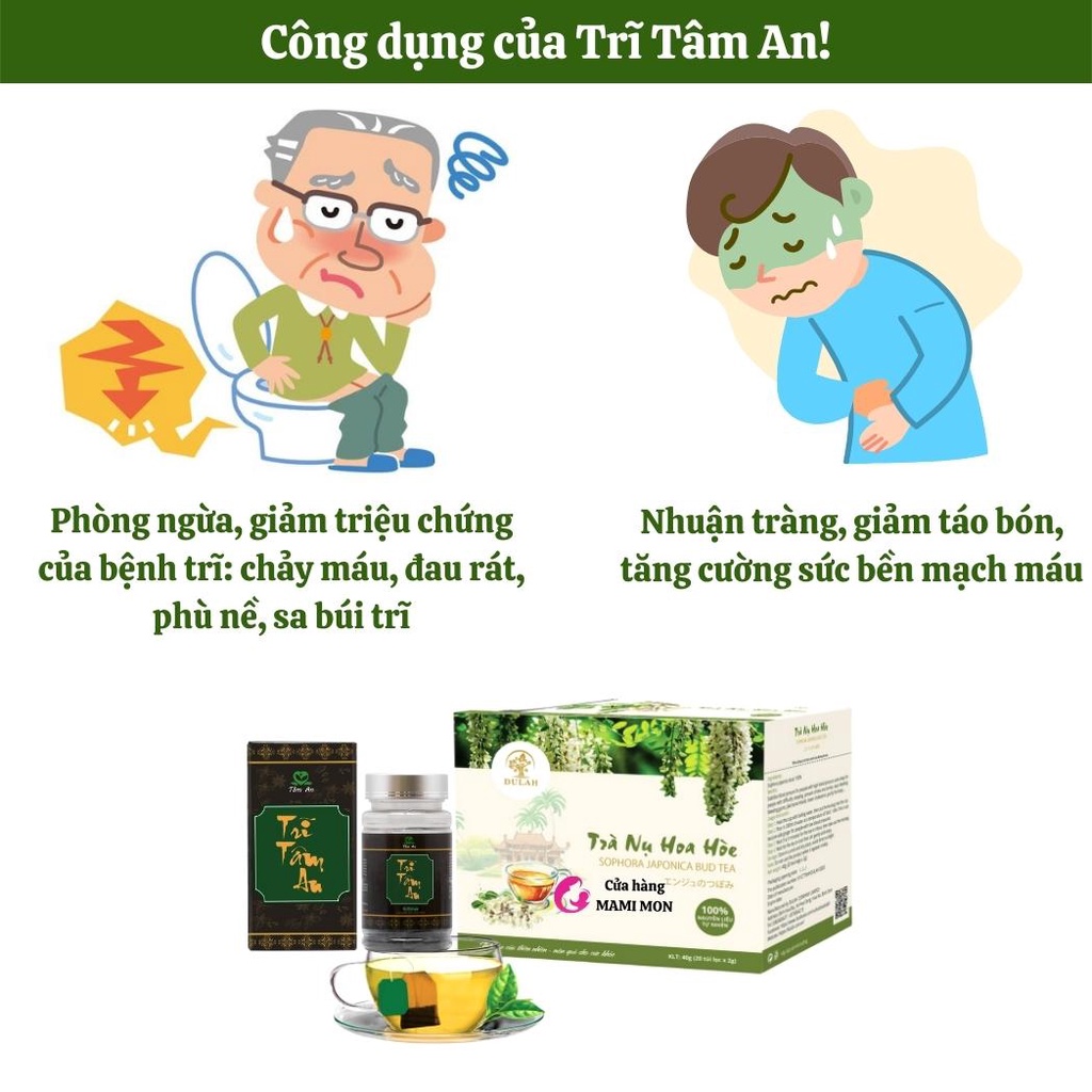 Co búi Trĩ tâm an nhuận tràng giảm táo bón – hỗ trợ người bệnh trĩ nội trĩ ngoại 60 viên