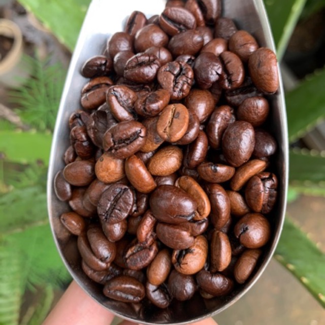 [Mã GROXUAN1 giảm 8% đơn 150K] 500g Cà phê Moka đặc biệt