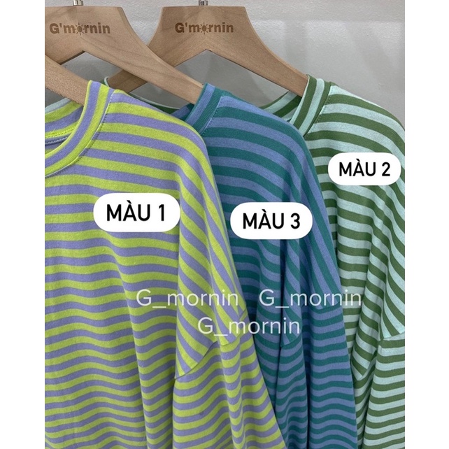 Áo pull kẻ NM - Gmornin