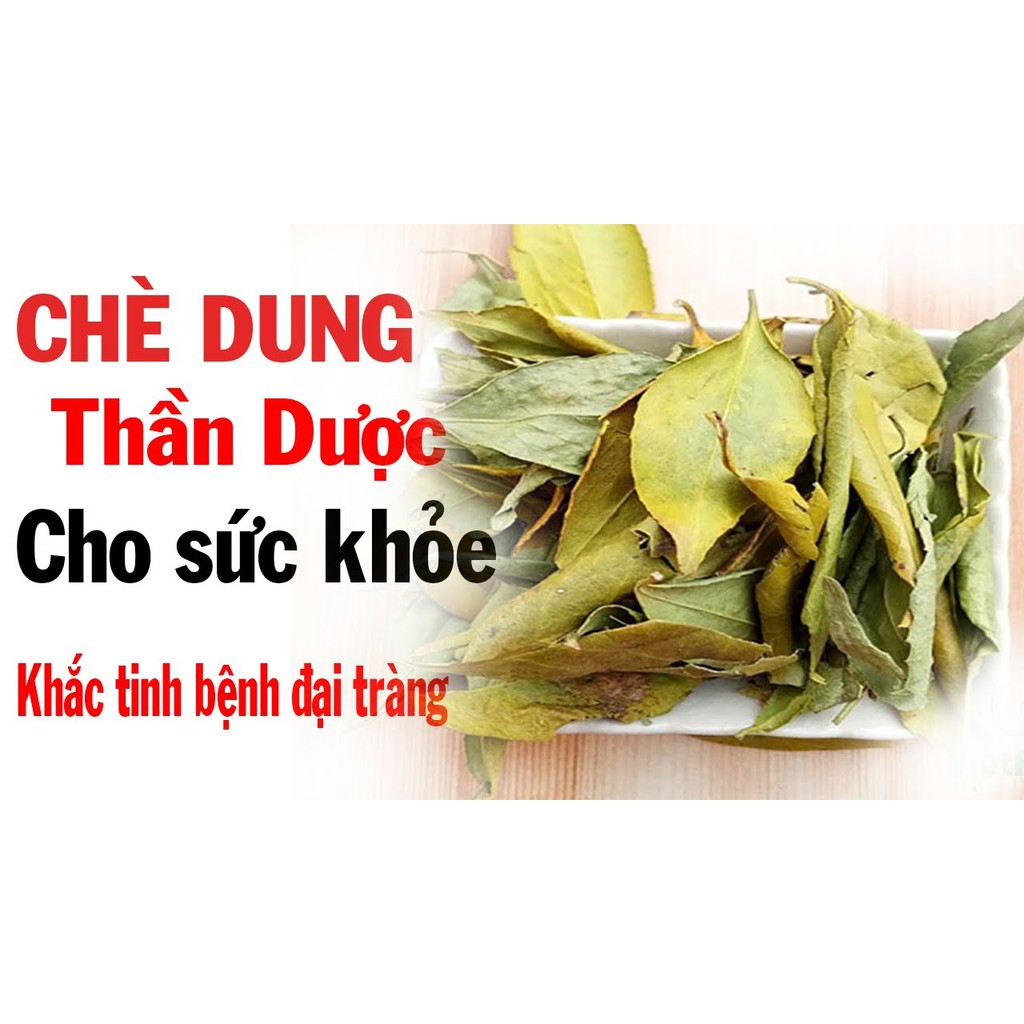 Chè dung thượng hạng JINDO 1kg hỗ trợ tốt cho dạ dày