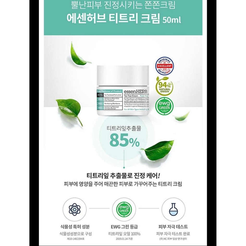 Kem dưỡng ẩm + tinh chất Ampoule PURE TEA TREE | essenHERB | | BigBuy360 - bigbuy360.vn