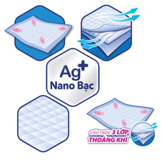 Tấm Lót Người Lớn Siêu Thấm Caryn 42 x 72 cm (10 Miếng)