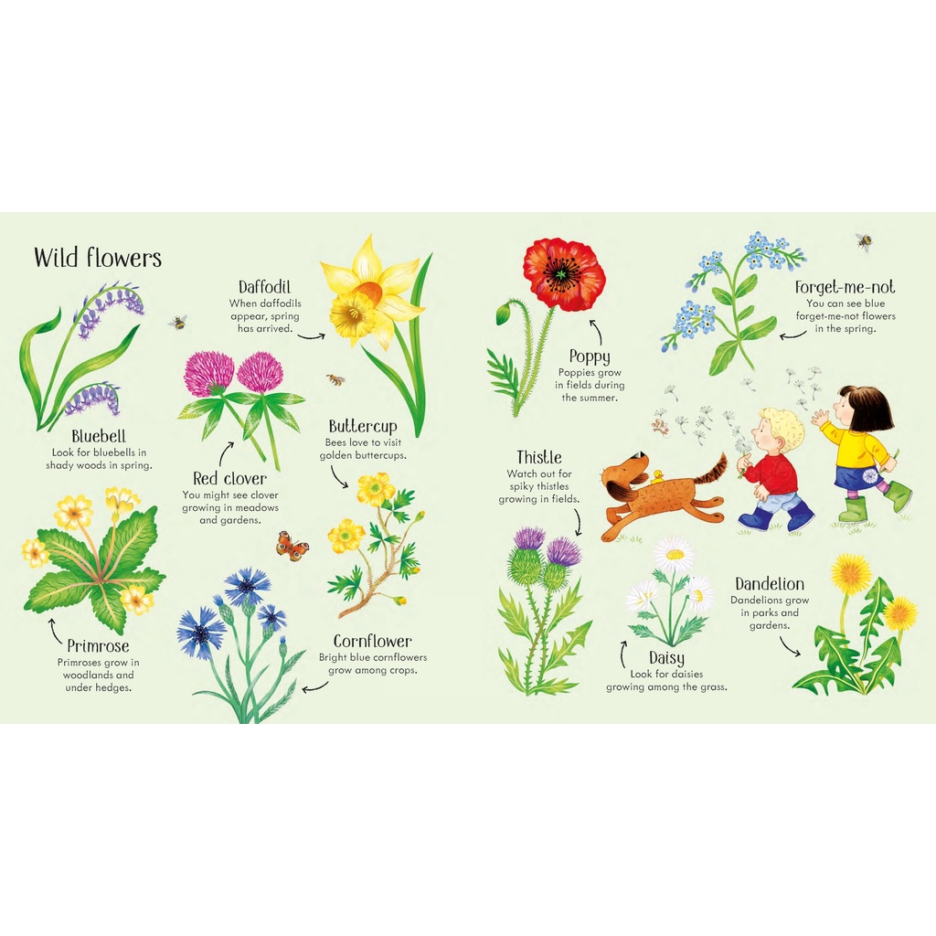 Sách Usborne - Poppy and Sam's Nature Spotting Book - học tiếng anh qua thiên nhiên