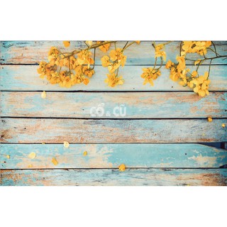 Phông Nền 3D Chụp Ảnh Sản Phẩm