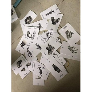 Bộ thẻ animal 4D