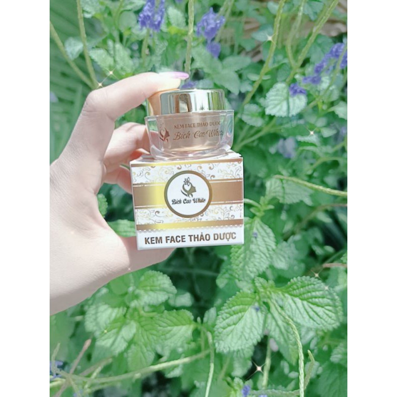 Kem mụn trà xanh_bích cao white,
