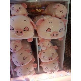 Gối Ôm Gấu Bông Heo Híp đáng yêu ( ảnh thật)