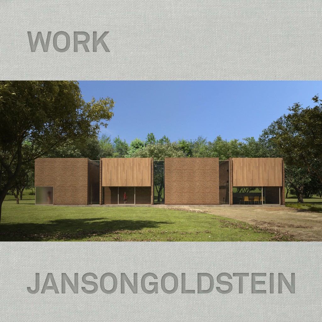 Janson Goldstein - Work