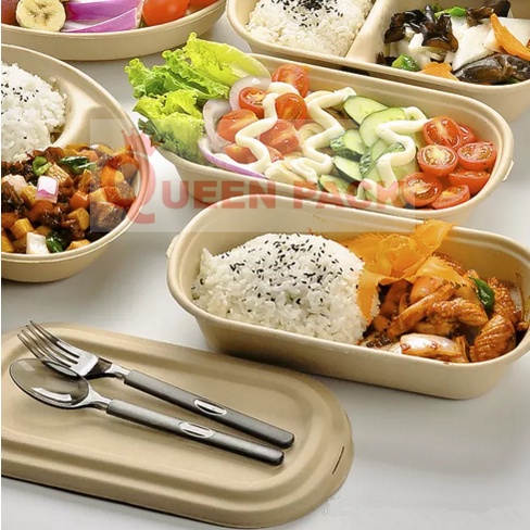 SET 50 Hôp bã mía 1 Ngăn Kèm Nắp Rời Bã Mía/Nhựa PET đựng đồ ăn dùng 1 lần, dùng cho nhà hàng quán ăn khách sạn
