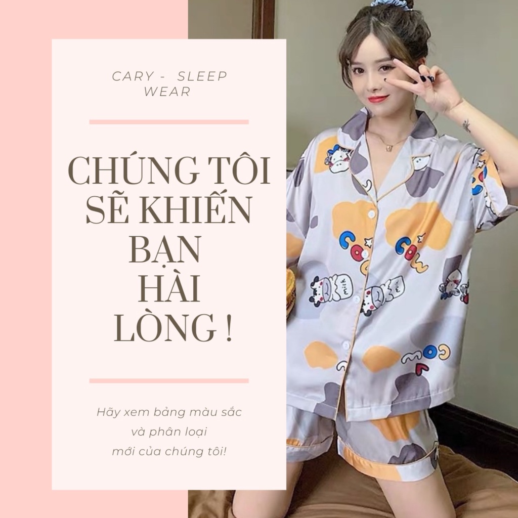 Đồ ngủ nữ pijama mặc nhà bộ ngủ hoạt hình cộc tay quần đùi mùa hè dễ thương CARY