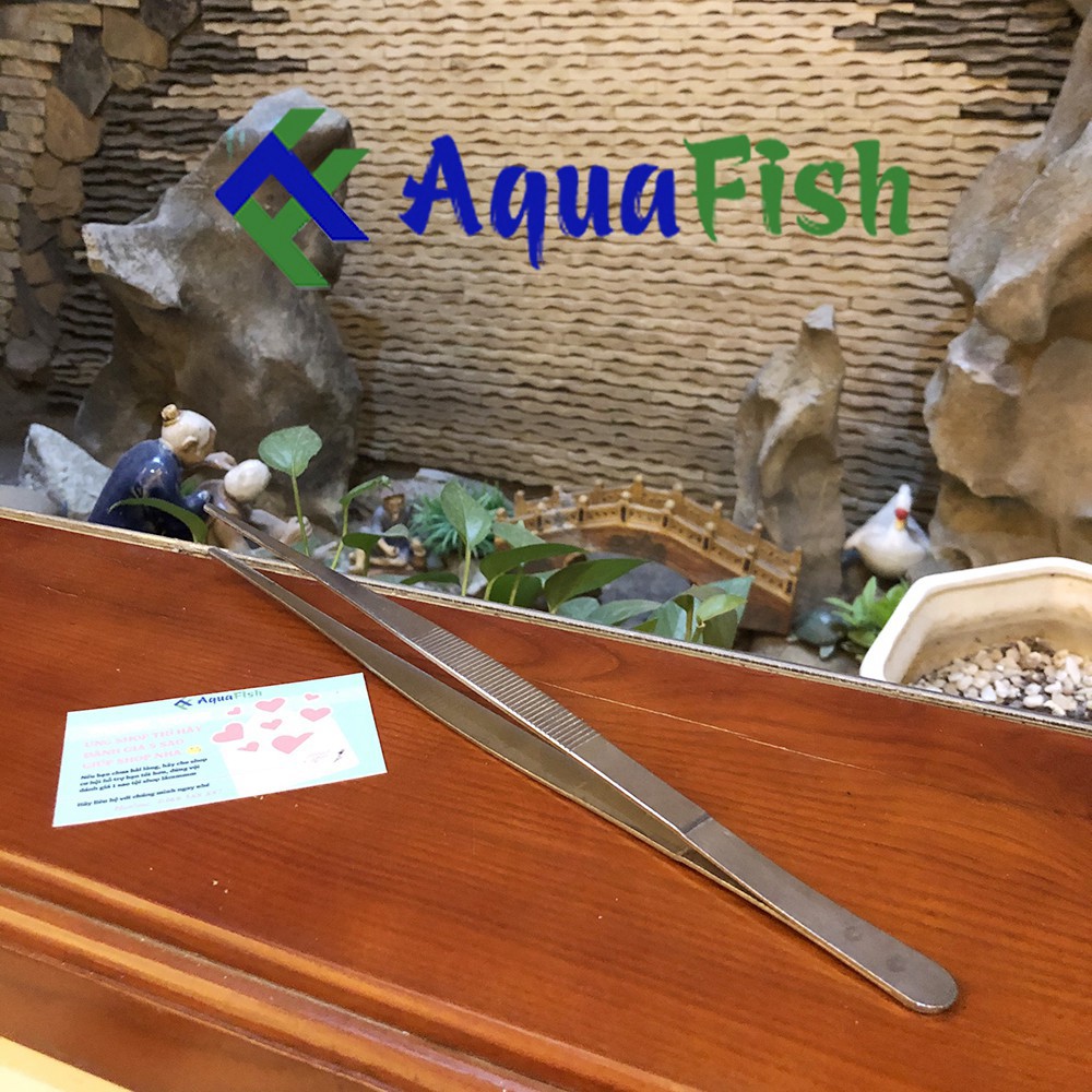 Kẹp Nhím Trồng Cây Thủy Sinh