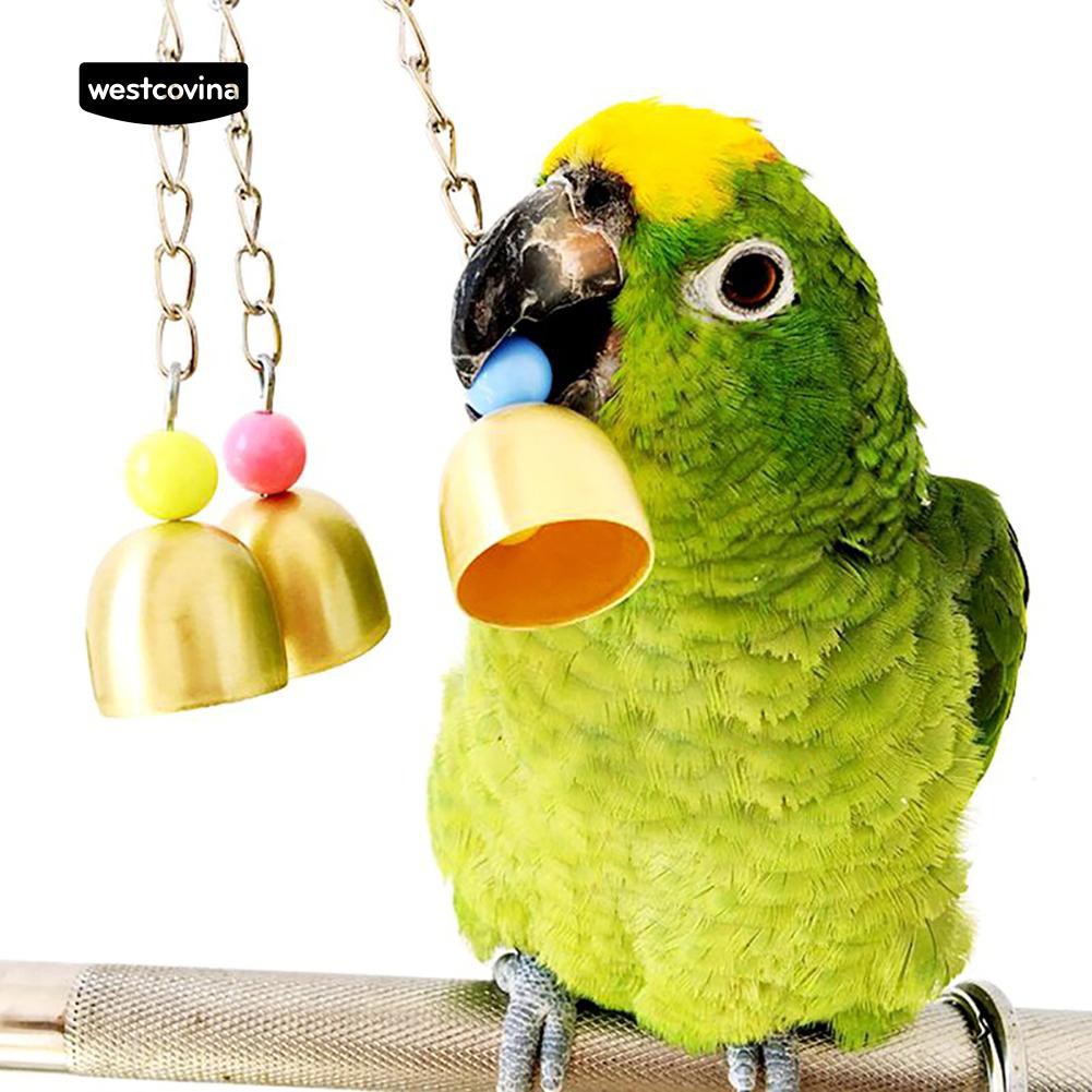Đồ chơi gắn chuông và hạt nhiều màu vui nhộn cho vẹt