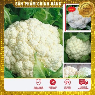 Hạt giống rau súp lơ trắng - 0,5gr