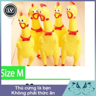 Đồ chơi con gà kêu cho chó ,mèo Phụ kiện Long Vũ