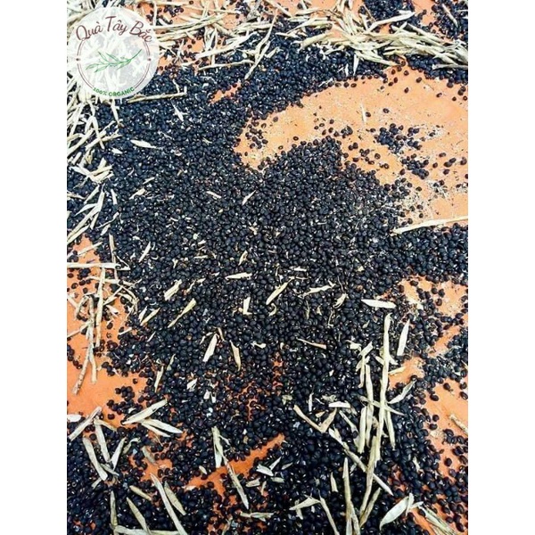 Đỗ đậu đen xanh lòng Vùng cao Yên Bái sạch thơm ngon 1kg | BigBuy360 - bigbuy360.vn