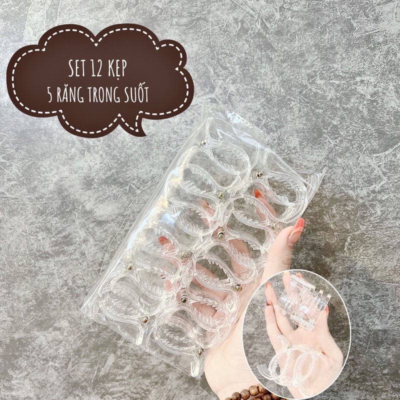 Set 12Kẹp Càng Cua [Trong Suốt - Đen - Nâu]