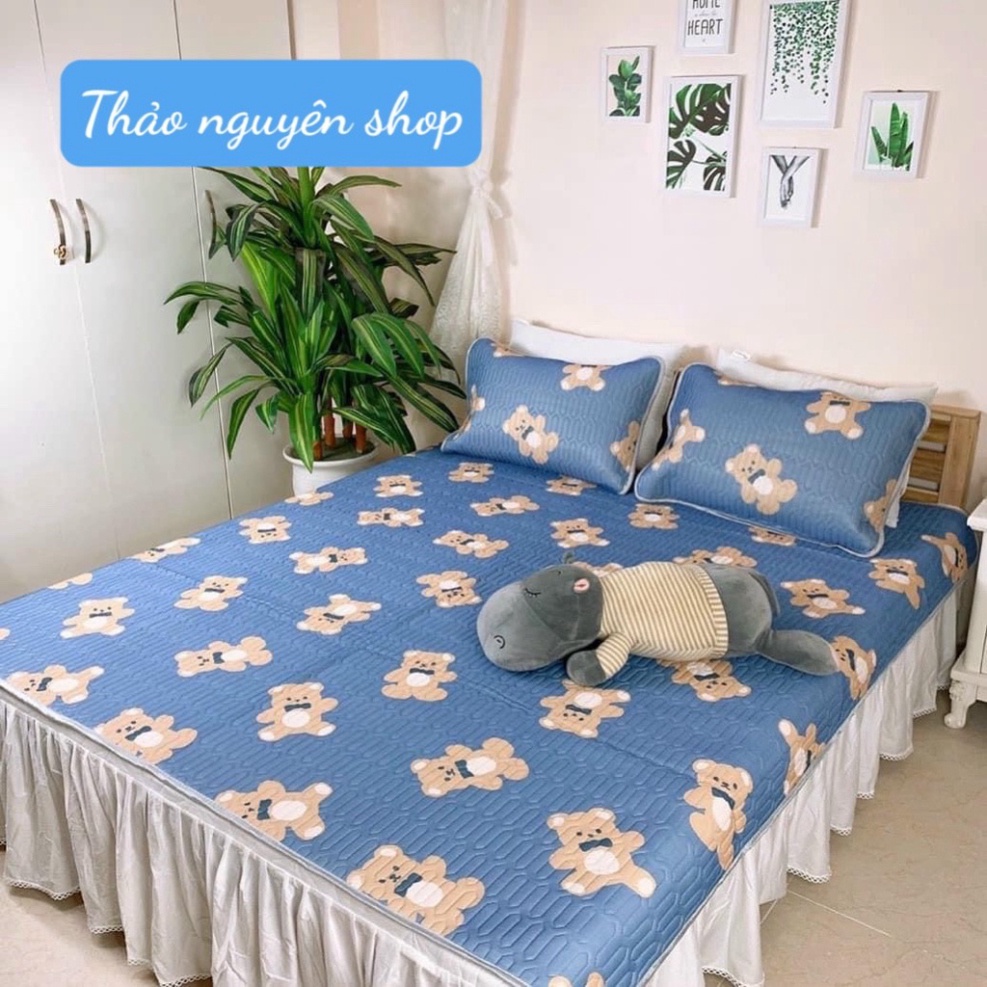 Chiếu điều hòa cao su non 3D làm mát dễ ngủ tặng kèm 2 vỏ gối mẫu mới giá rẻ hàng loại 1 MSP016