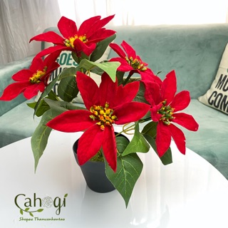 Cây Giả- Cây Trạng Nguyên Cao Cấp Lá To 35 Cm