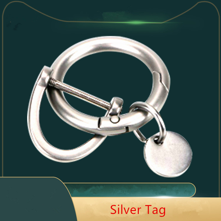 Móc Khóa Kim Loại Hình Chữ D Phong Cách Cổ Điển