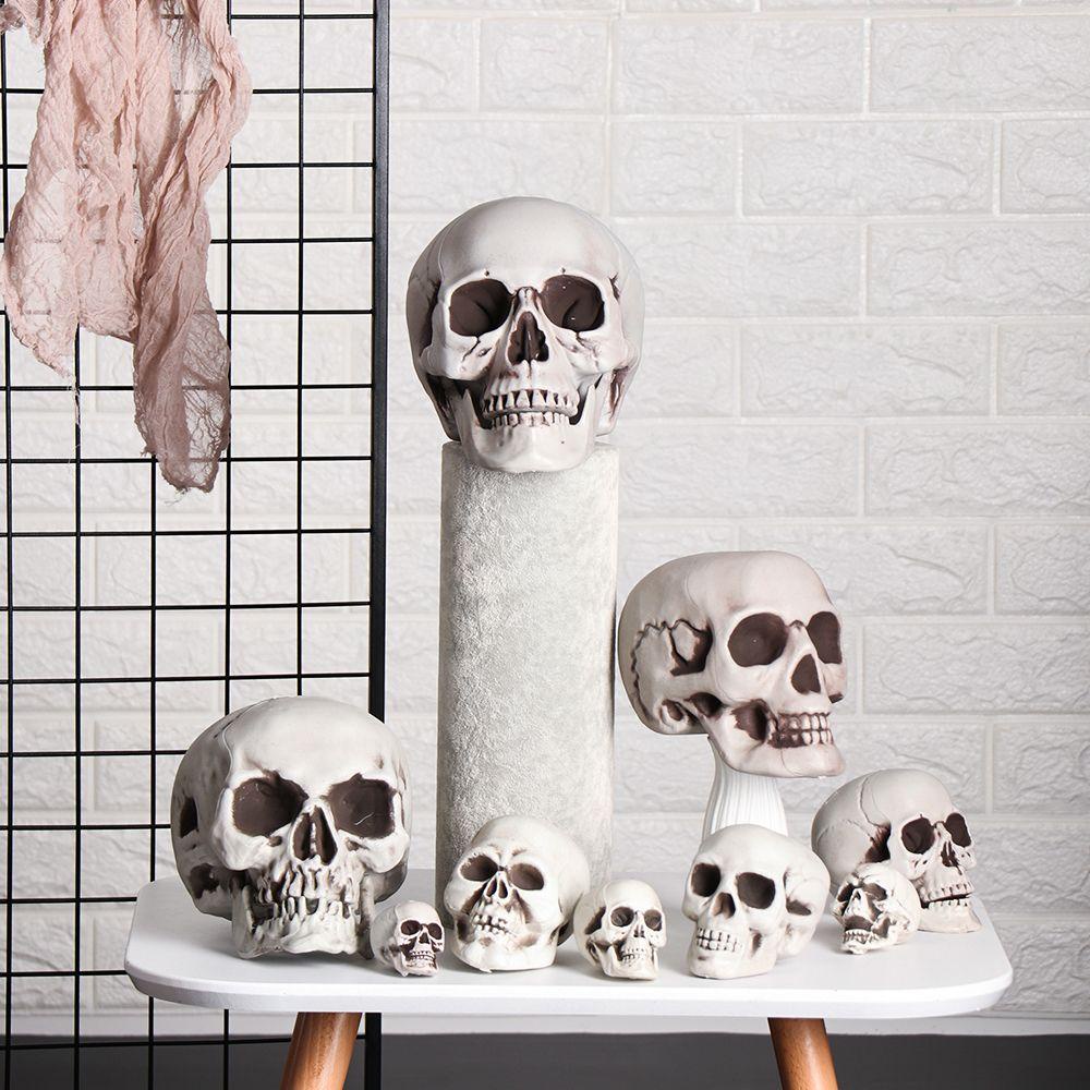 WONDER 1 Cái Đầu Lâu Kích Thước Đủ Kích Cỡ Trang Trí Halloween