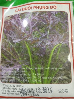 CẢI ĐUÔI PHỤNG ĐỎ