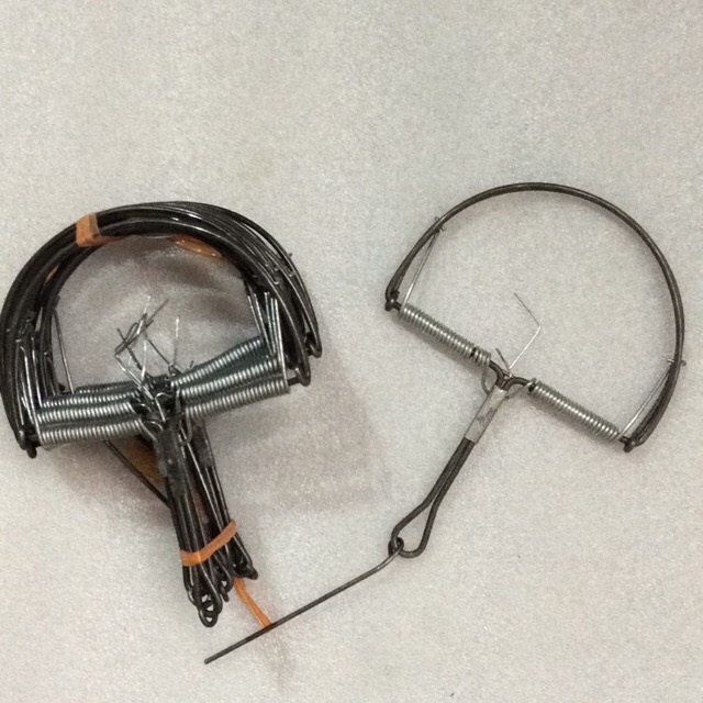 BẪY CHUỘT BÁN NGUYỆT/ BẪY CUNG ĐƯỜNG KÍNH 13CM/ 15CM