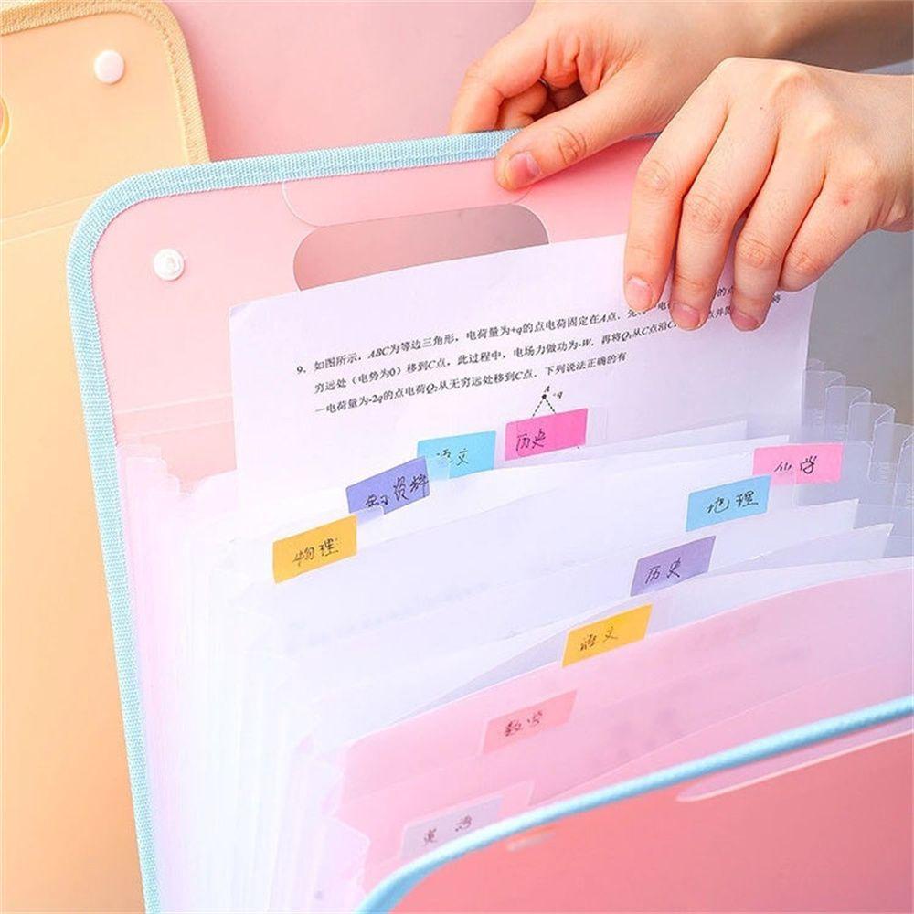 Túi Đựng Tài Liệu Khổ A4 12 Ngăn Dạng Đứng Tiện Dụng