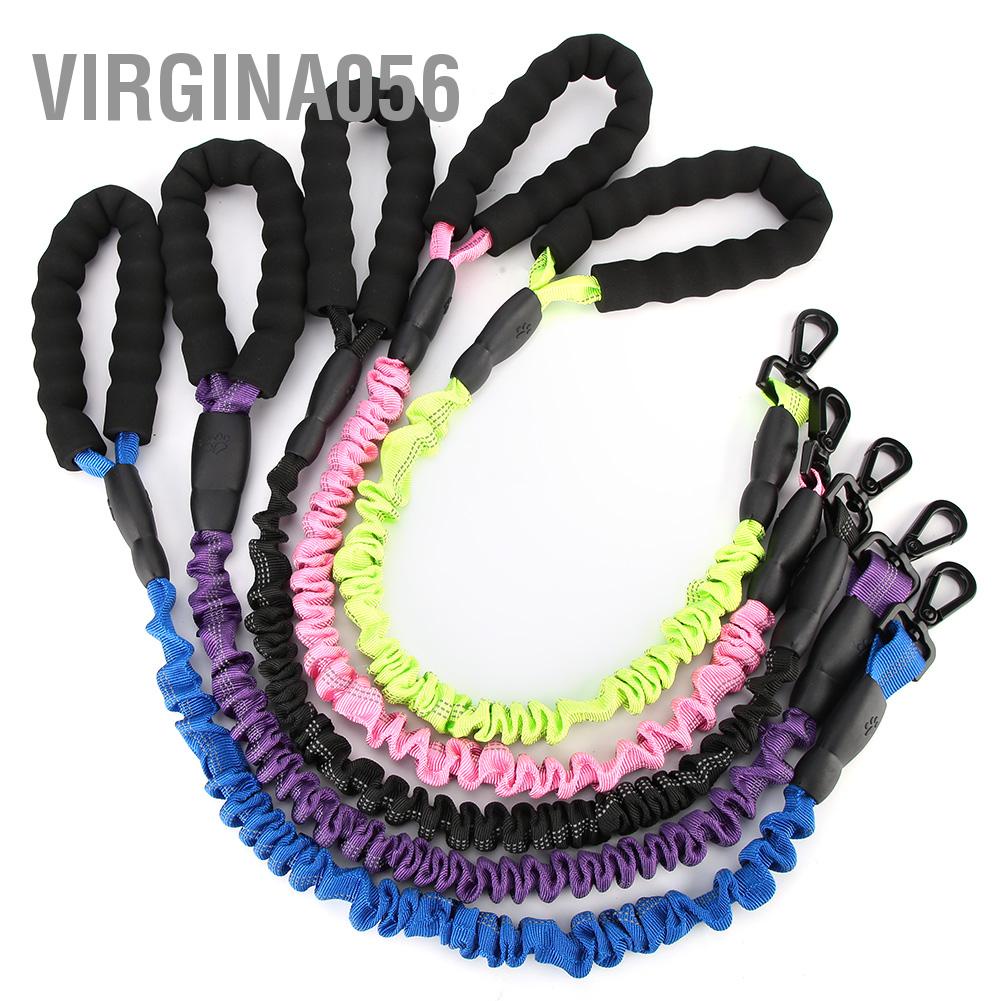 Dây DẫN Thú Cưng Đi DạO 2.46ft