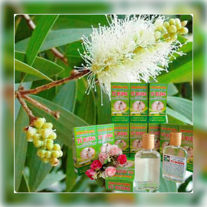 Tinh dầu Tràm 100ml