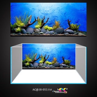 Tranh 3D dán hồ cá - bể cá siêu đẹp, siêu ấn tượng, có keo sẵn trên bề mặt, đa dạng kích thước